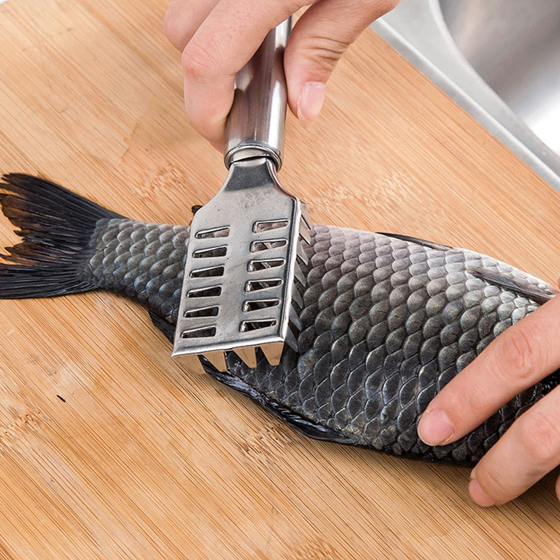 Stainless Steel Fish Descaler